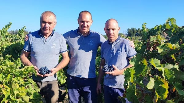Hérault : le Domaine Daumas en quête d’investisseurs pour se développer
