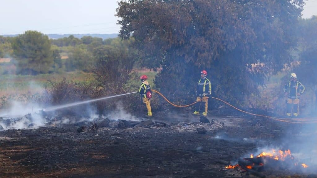 Occitanie : chaleur et vent, le risque d’incendie s’intensifie cette semaine