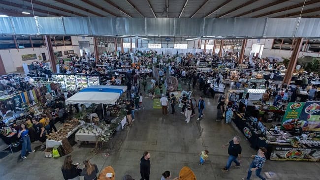 Gard : 50 000 spécimens de reptiles et insectes à découvrir lors des Reptiliades 2023 à Nîmes