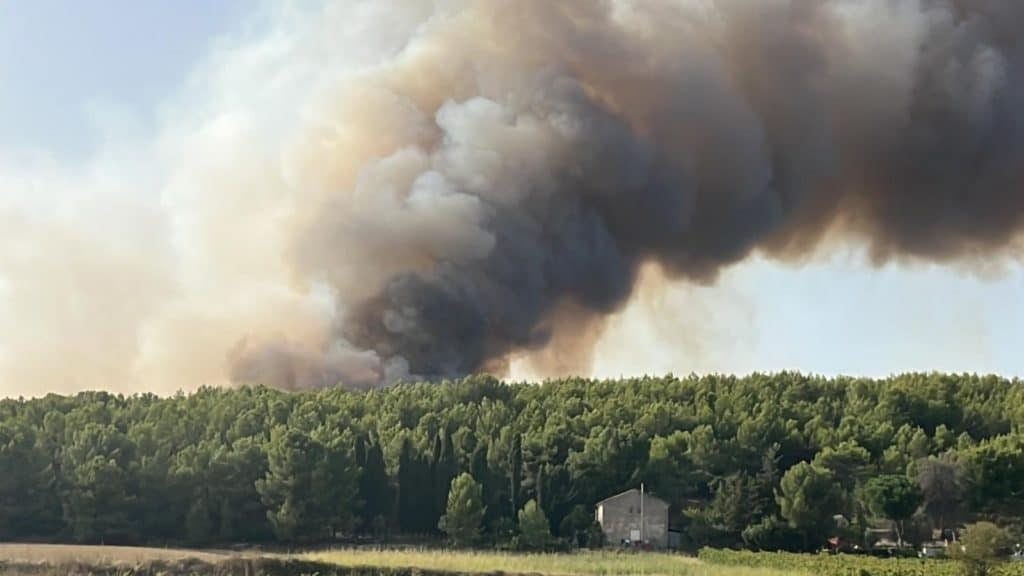 Gard : virulent départ de feu de forêt entre Aigues-Vives et Calvisson