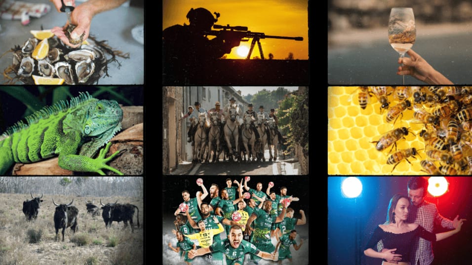 Que faire ce week-end du 23 et 24 septembre : concours de mangeur d’huitres, handball, traditions taurines… découvrez notre sélection