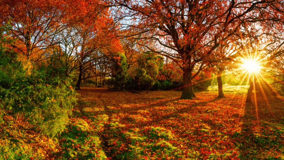 automne météo