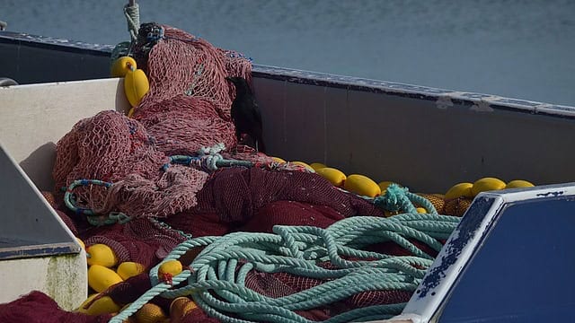 Hérault : le Maire de Sète tire la sonnette d’alarme face à la crise que traversent les marins-pêcheurs
