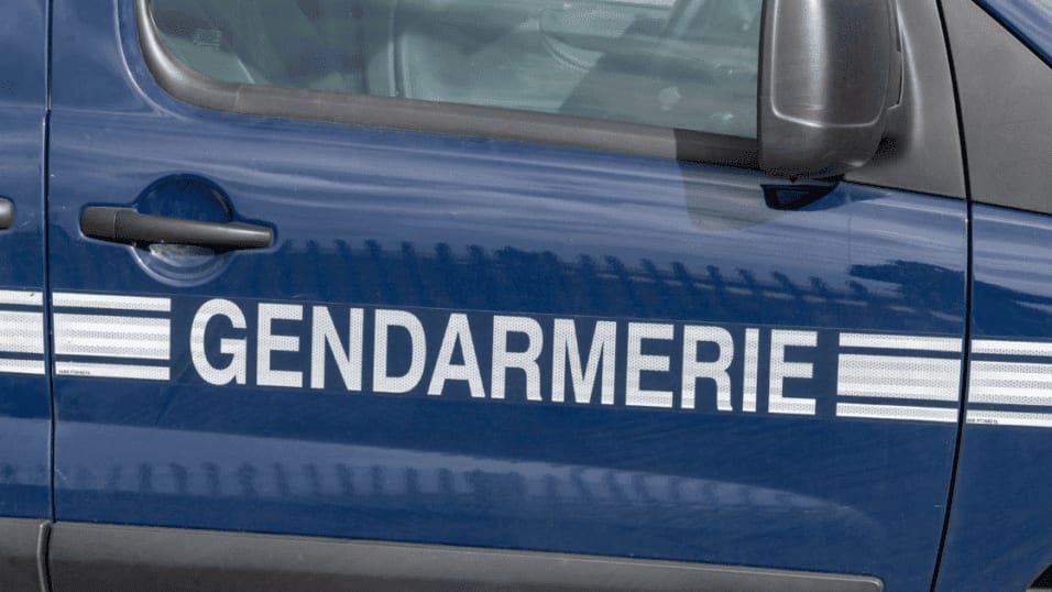 Hérault : un septuagénaire disparaît lors d’une sortie aux champignons
