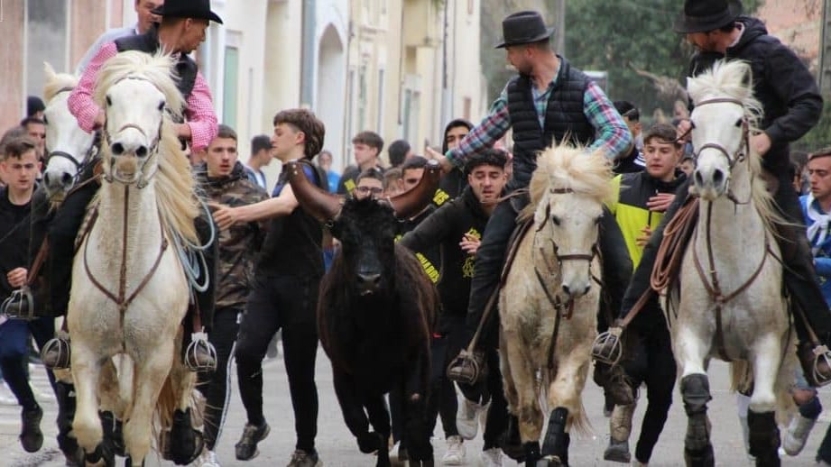 Hérault : découvrez le programme de la fête à Mudaison du 17 au 19 novembre 2023