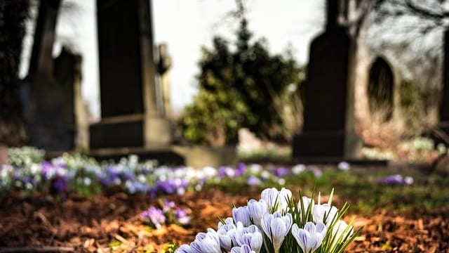 Cimetière / Tombe
