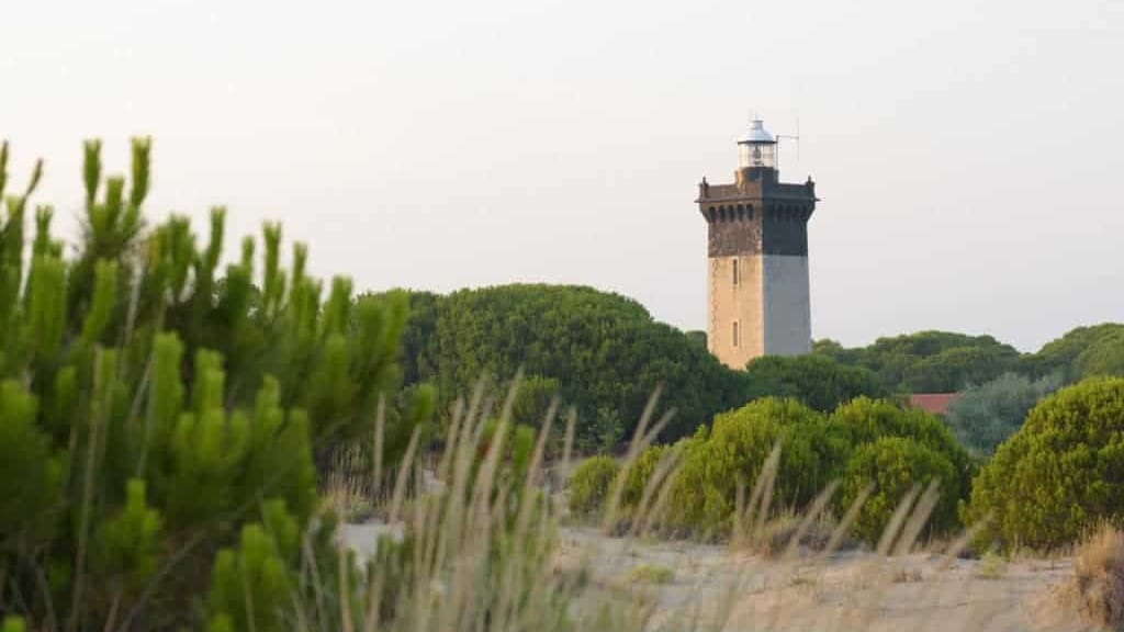Grau-du-Roi: inauguration officielle du phare de l’Espiguette