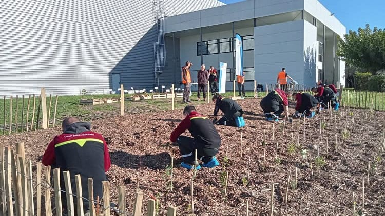 Plantation