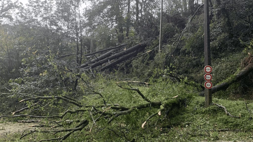 Tempête Ciaran : un décès et 1,2 million de foyers sans électricité