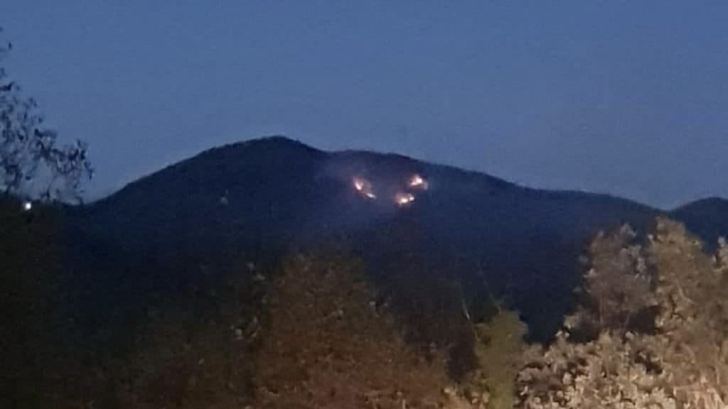 Cévennes : un feu détruit 7 hectares de végétation