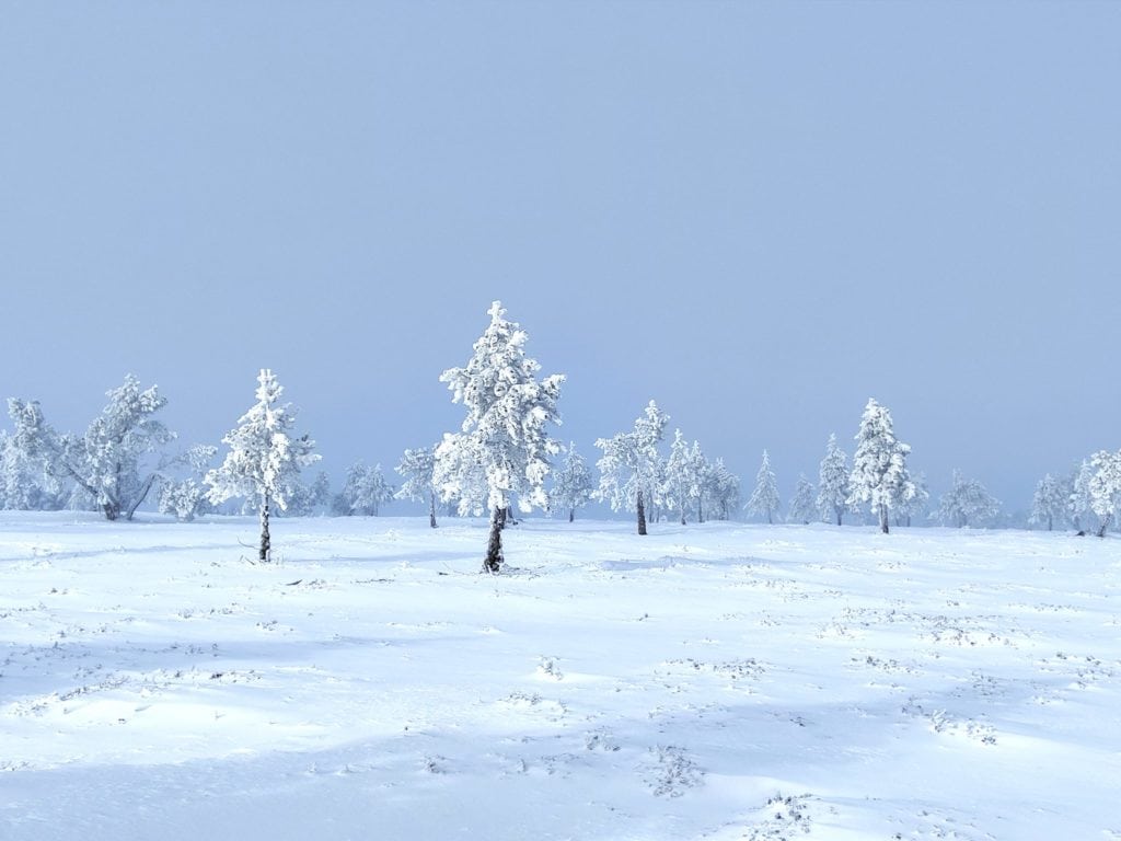 neige météo Lozère