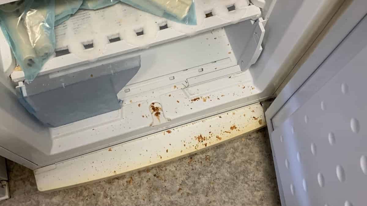 Gard : fermeture administrative de l’épicerie de Saint-Laurent-Le-Minier pour raisons d’hygiène