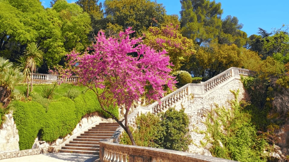 Nîmes : le label ‘Quatre Fleurs’ renouvelé, un engagement florissant pour la ville