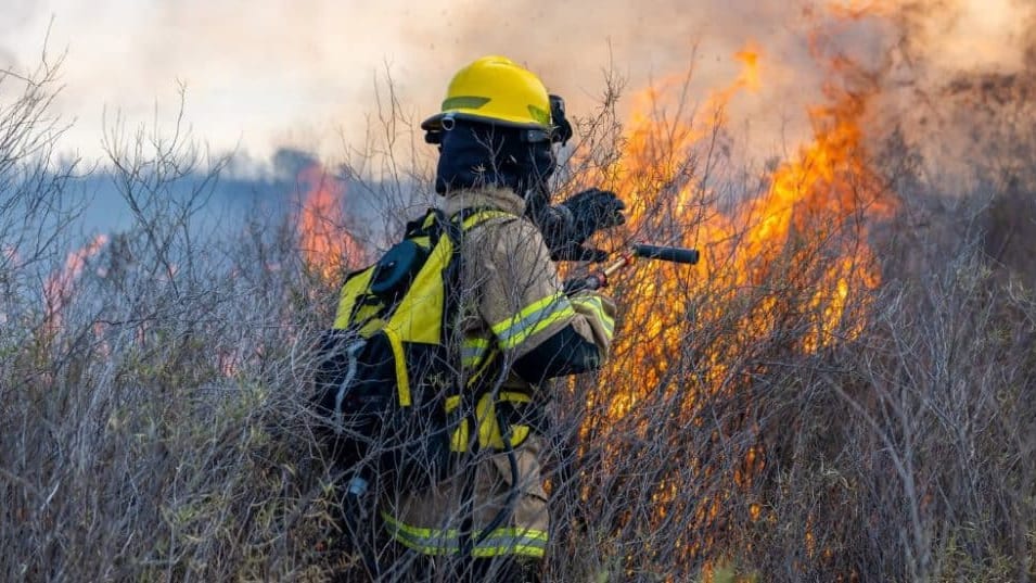 Le brûlage dirigé est une pratique complexe et hautement réglementée, destinée à réduire les risques d'incendies de forêt. Photo : Getty Image