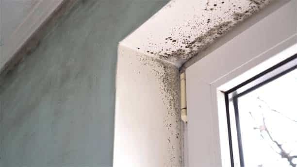 Hérault : le Département poursuit sa lutte contre l’habitat indigne