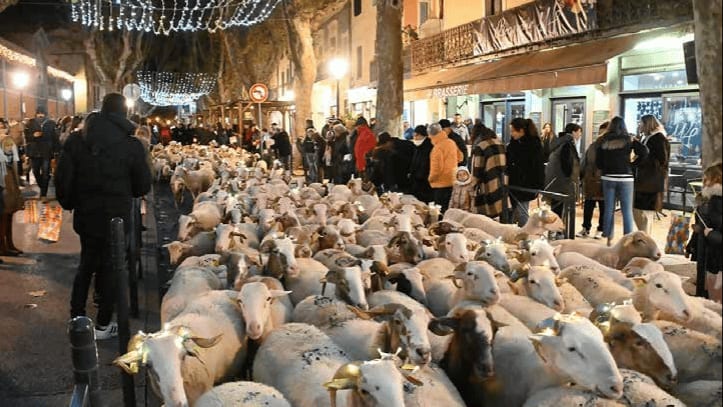 Lunel : la transhumance lumineuse de retour pour Noël