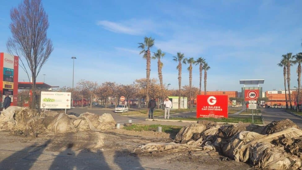 Blocage Cap Costières au Sud de Nîmes - FDSEA GARD