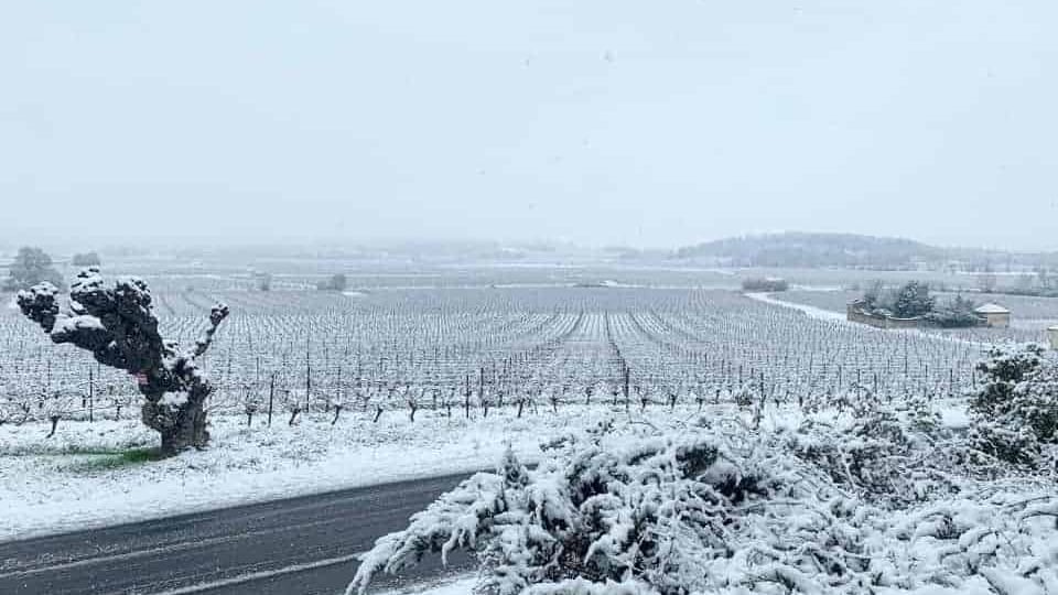 Météo : il y a 4 ans, la neige s’invitait jusqu’en plaine en région