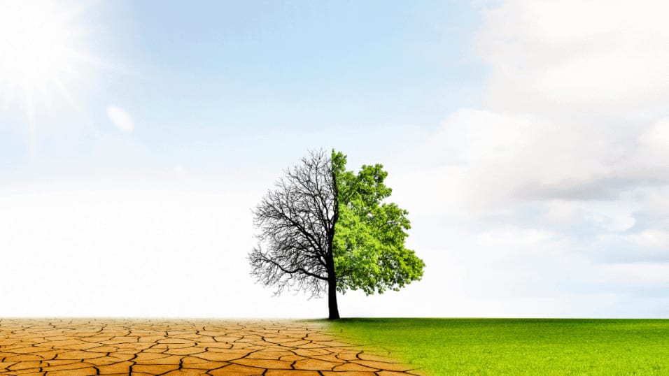 conférence écologique à Nîmes