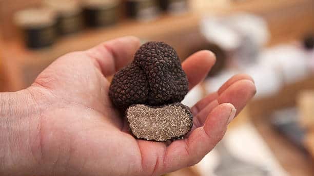 Truffe