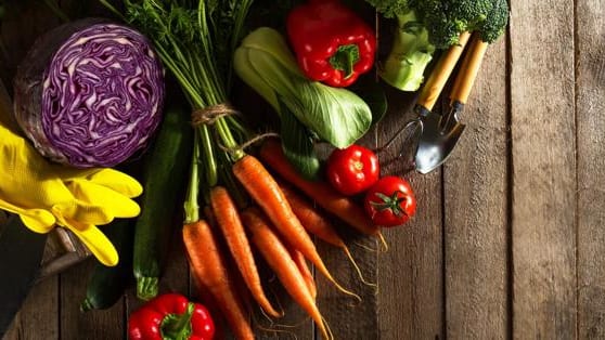 Rappel conso : plusieurs légumes pouvant contenir des pesticides rappelés partout en France