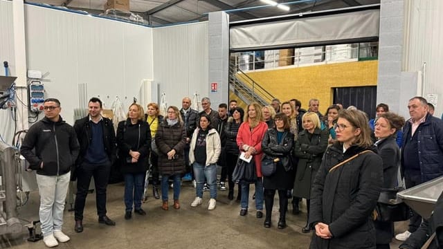 Gard : des dizaines d’entrepreneurs à la découverte de la production d’olives de l’entreprise Brunel