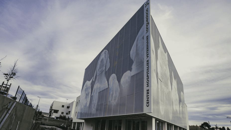 Occitanie : un hôpital vétérinaire à la pointe de la technologie à Montpellier