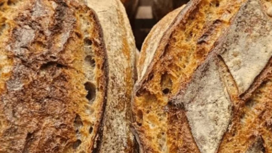 Télévision : voici la « meilleure boulangerie du Gard »