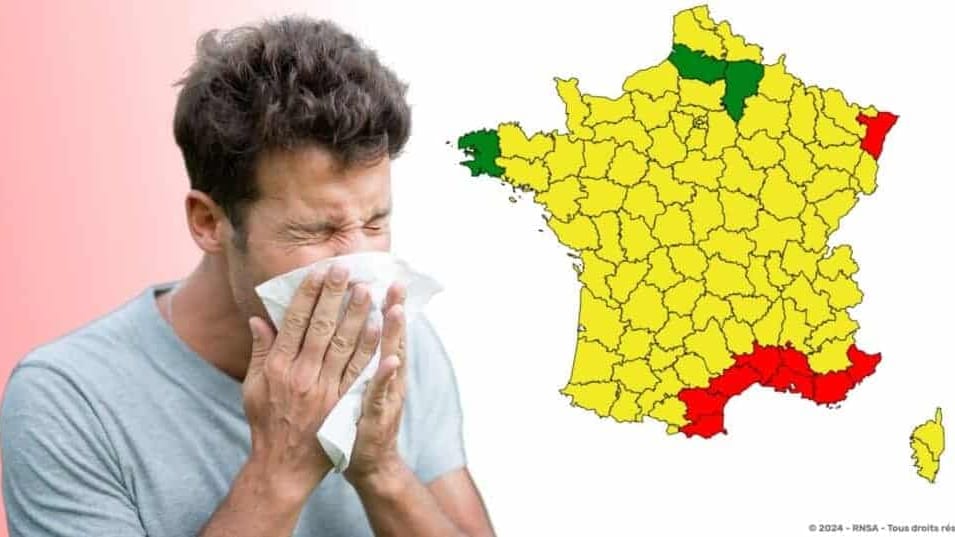 Alerte rouge aux pollens
