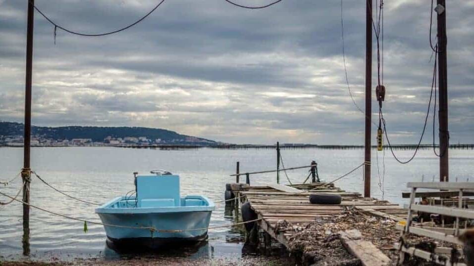Étang de Thau : la préfecture dresse un bilan sur le vol d’huîtres