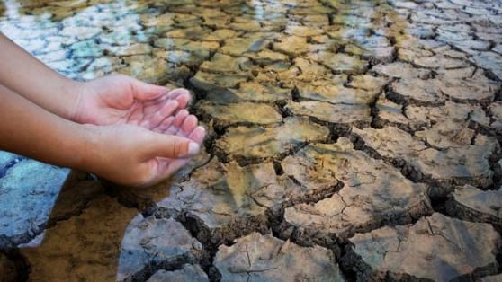 Hérault : de nombreux bassins toujours en crise et en alerte renforcée « sécheresse »