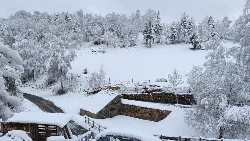 Lozère : découvrez les images des paysages sous 20 cm de neige !