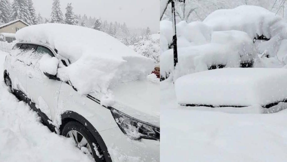 neige météo