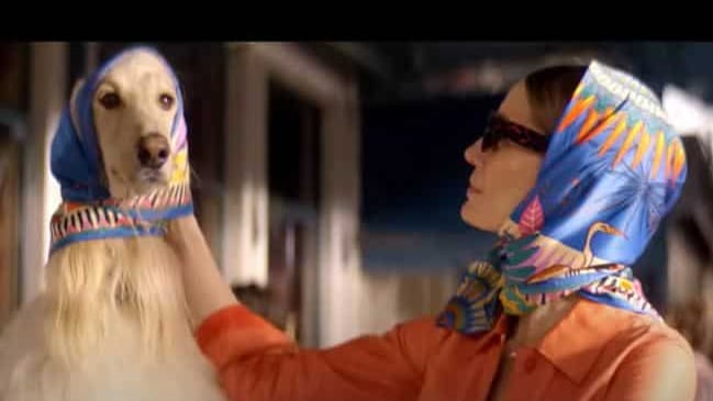 Gard : pourquoi la pub Perrier tournée à Nîmes fait des déçus