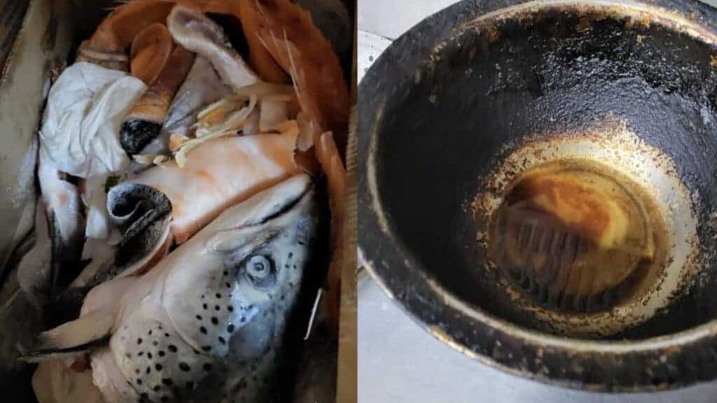 Nîmes : fermeture du restaurant asiatique « Le Shanghai » pour mauvaise hygiène