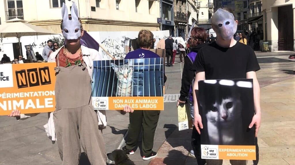 Hérault : « l’expérimentation animale est une horreur », s’insurge One Voice