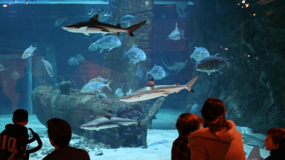 Seaquarium