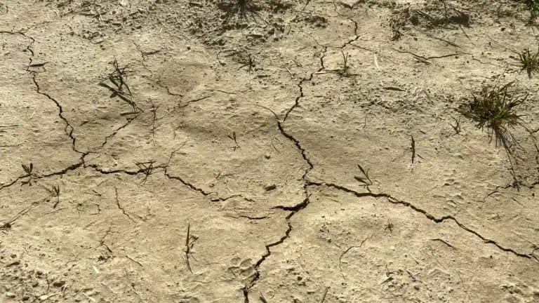 Gard : état de catastrophe naturelle pour 3 communes