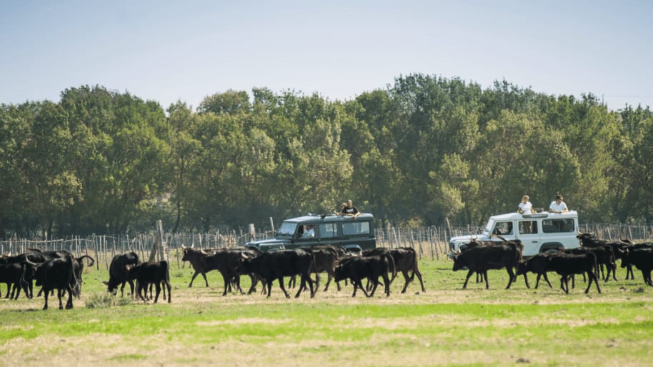 Camargue Autrement