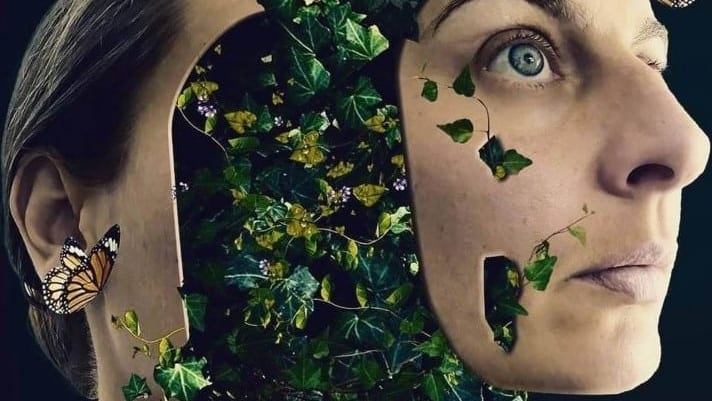 Hérault : Mudaison lance un concours artistique autour de la botanique