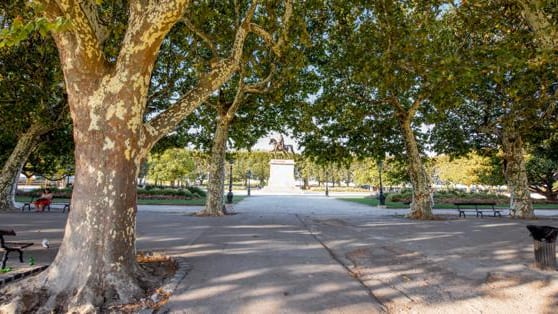 Hérault : des vacances de Pâques en vert à Montpellier