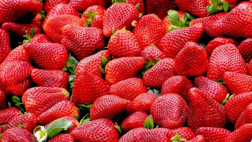 Gard : une première « fête de la fraise » à Montfaucon