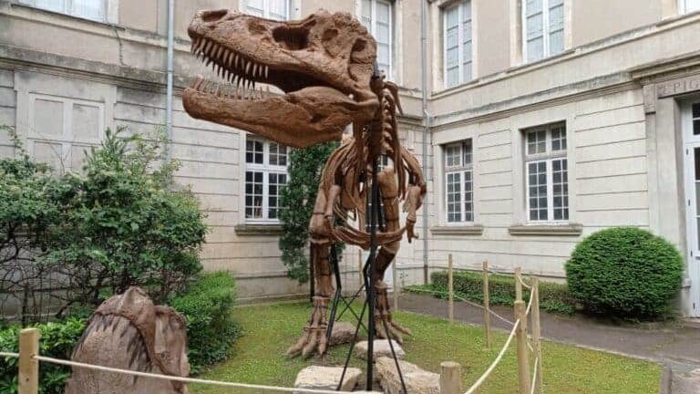 Gard : les dinosaures débarquent à Nîmes !