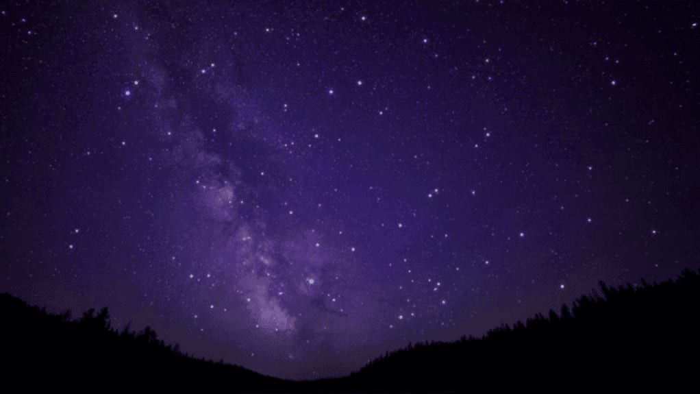 Deux études sur l’impact de la pollution lumineuse sur les insectes nocturnes en Cévennes