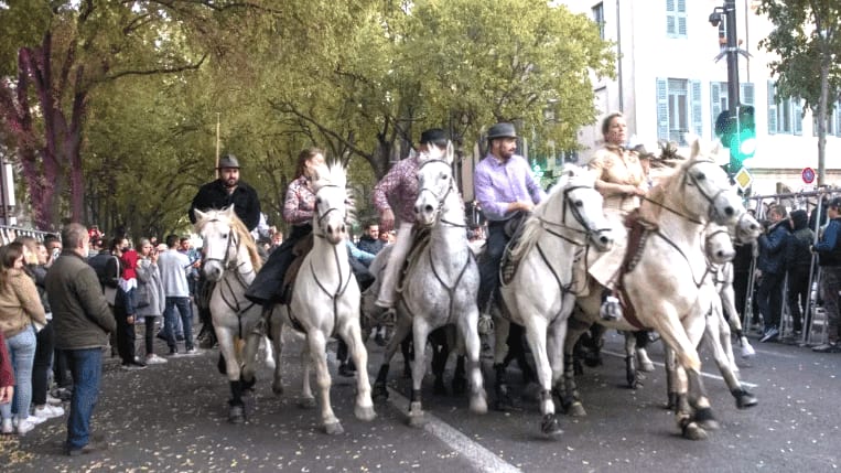 Gard : manifestation anti-corrida, l’abrivado du samedi 18 mai à Nîmes change d’horaire