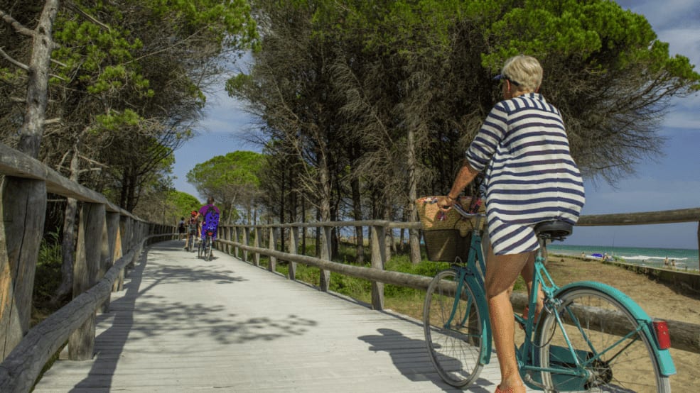Piste cyclable en Camargue entre le Grau-du-roi et Aigues-Mortes