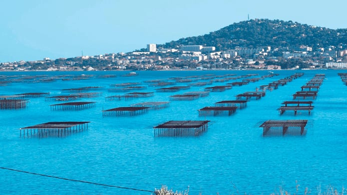 Occitanie : qu’est-ce que l’Europe finance ?