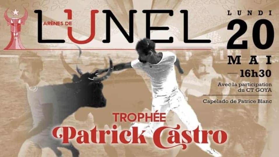 Lunel : ce lundi de Pentecôte, une course Camarguaise dans les arènes !
