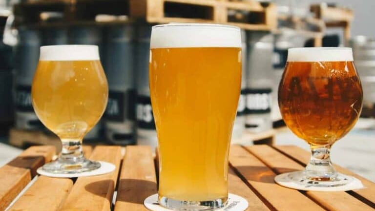 Hérault : ‘Soft fest’ à Lattes, le premier évènement dédié à la tendance ‘No low’