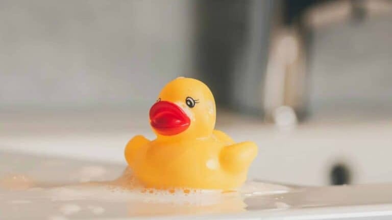 Gard : 30 000 canards au Pont du Gard pour la bonne cause